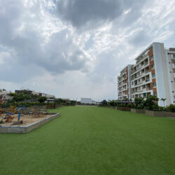 IMG_7110-min IMG_7110-min