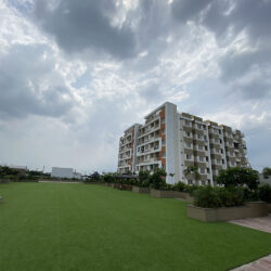 IMG_7112-min IMG_7112-min